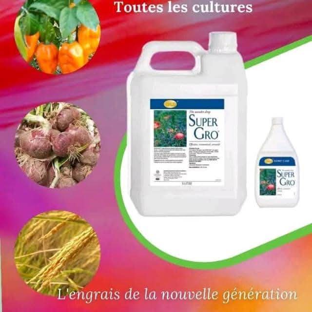 Engrais foliaire 100% Bio-naturel SUPER GRO 5 litres – Toutes les cultures agricoles, élevage.