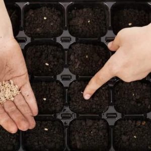 Alvéole agricole 105 trous – Toutes les cultures