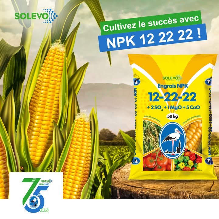 Engrais granulé NPK 12-22-22 50 kg – Spécial Maïs