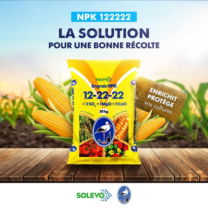 Engrais granulé NPK 12-22-22 50 kg – Spécial Maïs