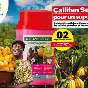 Insecticide liquide CALLIFAN SUPER 40 EC 1 litre – Spécial cacao