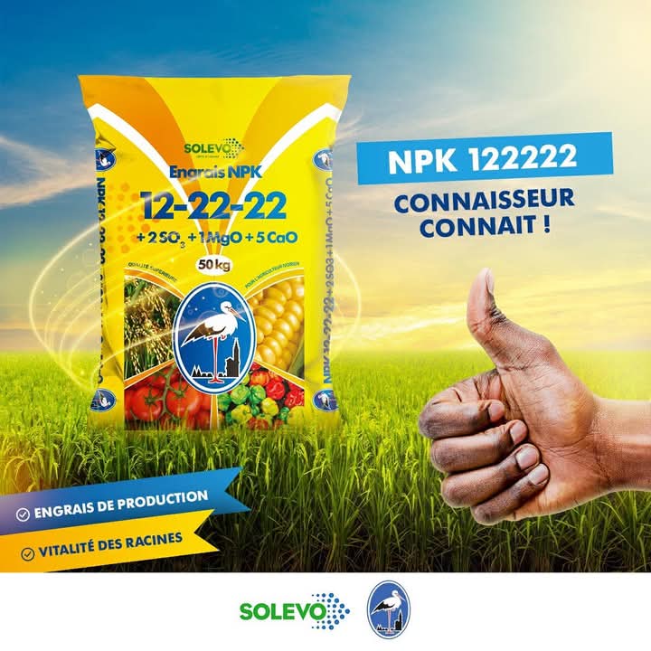 Engrais granulé NPK 12-22-22 50 kg – Spécial Maïs