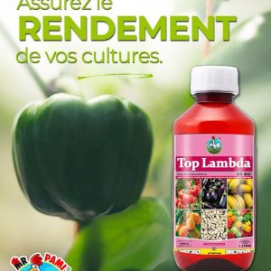 Insecticide liquide TOPLAMBDA 25 EC 1 litre – Poivron