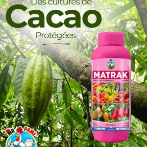 Insecticide liquide MATRAK 40 EC 1 litre – Tomate, anacarde, cacao, cultures maraichères