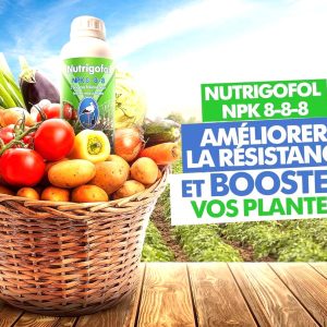 Engrais foliaire NUTRIGOFOL SPECIAL MARAICHAGE NPK 8-8-8 1 litre – Cultures maraichères