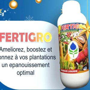 Engrais foliaire NPK 7-7-7 FERTIGRO 1 litre – Toutes les cultures