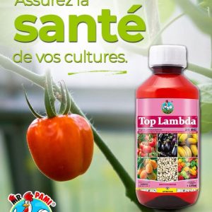 Insecticide liquide TOPLAMBDA 25 EC 1 litre – Tomate