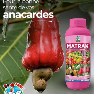 Insecticide liquide MATRAK 40 EC 1 litre – Anacarde, cacao, cultures maraichères