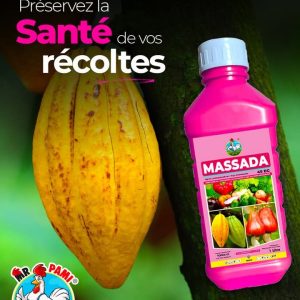 Insecticide liquide MASSADA 45 EC 1 litre – Anacarde, cacao, cultures maraichères