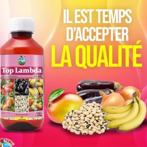 Insecticide liquide TOPLAMBDA 25 EC 1 litre – Cultures maraichères