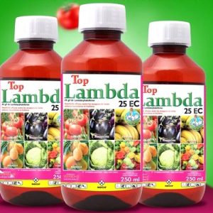 Insecticide liquide TOPLAMBDA 25 EC 1 litre – Cultures maraichères