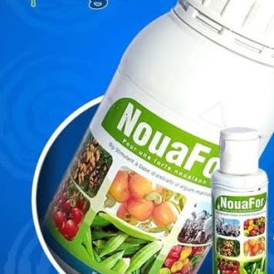 Biostimulant liquide NOUAFOR 500 ml – Toutes les cultures