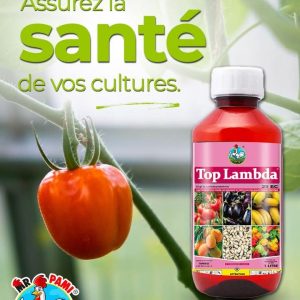Insecticide liquide TOPLAMBDA 25 EC 1 litre – Cultures maraichères