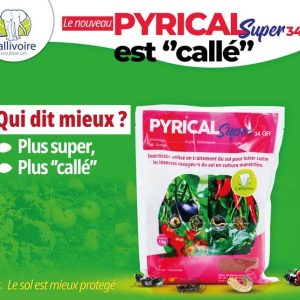 Insecticide granulé PYRICAL SUPER 34 GR 1 kg – Cultures maraichères