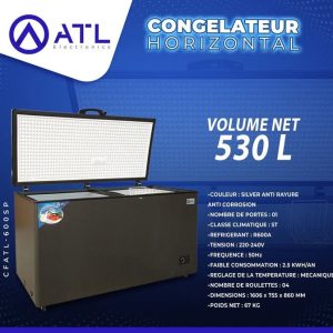 ATL Congélateur horizontal 530 litres CFATL-600SP Silver CC ST Porte 01 Roulettes 04 67 kg