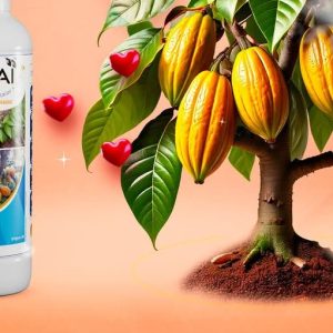 Biostimulant liquide BANZAI BONUS 1 litre (2 en 1) – Spécial cacao