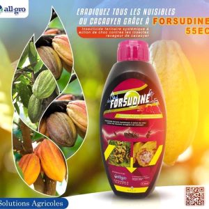 Insecticide liquide FORSUDINE 55 EC 1 litre – Cacao