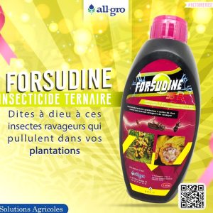 Insecticide liquide FORSUDINE 55 EC 1 litre – Cacao