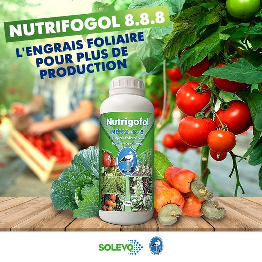 Engrais foliaire NUTRIGOFOL NPK 8-8-8 1 litre – Cultures maraichères et légumières