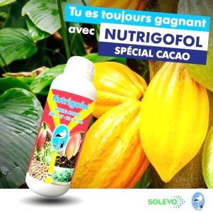 Engrais foliaire NUTRIGOFOL NPK 4-17-28 1 litre – Spécial cacao