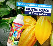 Engrais foliaire NUTRIGOFOL NPK 4-17-28 1 litre – Spécial cacao