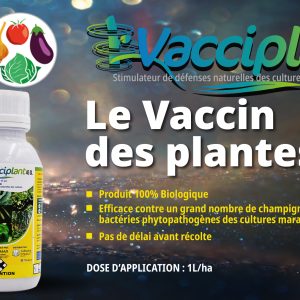 Biosolution liquide 100% Biologique VACCIPLANT 45 SL 1 litre – Cultures