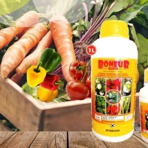 Fongicide liquide BONEUR 250 EC 1 litre – Cultures maraichères et florales, espaces verts, etc.