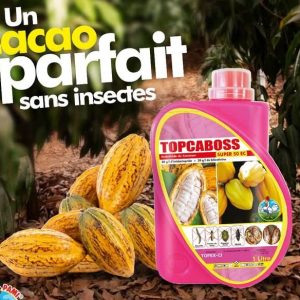 Insecticide liquide TOPCABOSS SUPER 50 EC 1 litre – Cacao