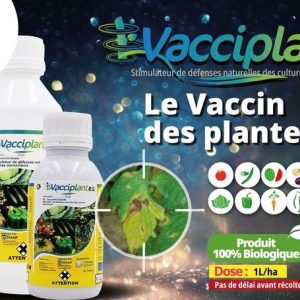 Fongicide liquide 100% Biologique VACCIPLANT 45 SL 1 litre – Cultures maraichères