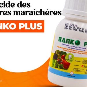 Fongicide granulé BANKO PLUS 650 SC 200 ml – Cultures maraichères