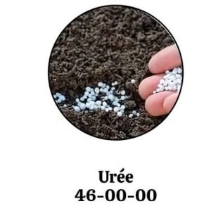 Urée 46% N 50 kg – Toutes les cultures