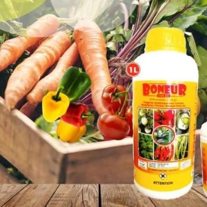Fongicide liquide BONEUR 250 EC 200 ml – Cultures maraichères et florales, espaces verts, etc.