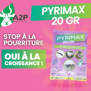 Insecticide granulé PYRIMAX 20 GR 1 kg – Cultures maraichères et vivrières, légumineuses