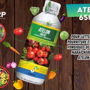 Fongicide ATELON 650 SC 1 litre – Cultures maraichères