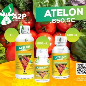 Fongicide liquide ATELON 650 SC 1 litre – Cultures maraichères