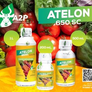 Fongicide liquide ATELON 650 SC 500 ml – Cultures maraichères