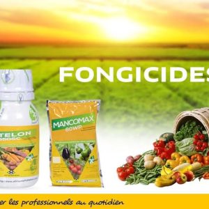 Fongicide liquide ATELON 650 SC 200 ml – Cultures maraichères