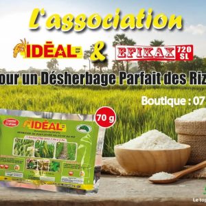 Herbicide granulé sélectif IDEAL 200 WP 70 gr – Spécial riz