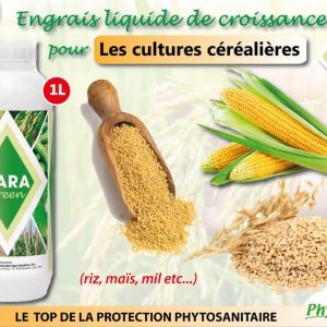 Engrais foliaire KARA GREEN 1 litre – Cultures céréalières