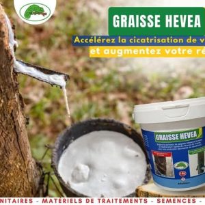 Graisse cicatrisante GRAISSE HEVEA 1 kg – Spécial hévéa
