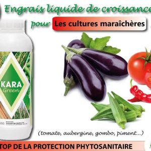 Engrais foliaire KARA GREEN 1 litre – Cultures maraichères