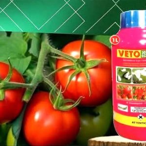 Insecticide liquide VETO 30 EC 250 ml – Tomate