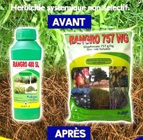 Herbicide granulé non-sélectif RANGRO 757 WG 1 kg – Toutes les cultures