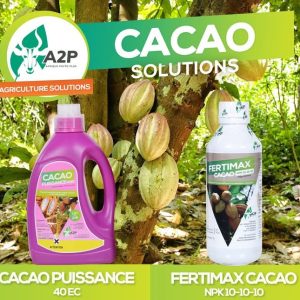 Engrais foliaire FERTIMAX NPK 10-10-10 1 litre – Spécial cacao