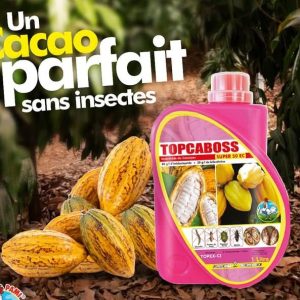 Insecticide liquide TOPCABOSS SUPER 50 EC 1 litre – Cacao