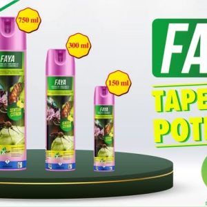 Insecticide liquide FAYA 150 ml – Domicile, bureau, hygiène publique