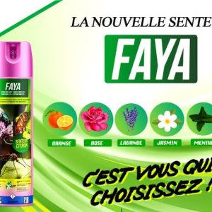 Insecticide liquide FAYA 150 ml – Domicile, bureau, hygiène publique