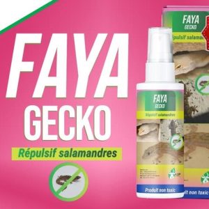 Insecticide liquide FAYA GECKO – Domicile, bureau, hygiène publique