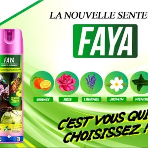 Insecticide liquide FAYA 300 ml – Hygiène publique, domicile, bureau