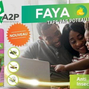 Insecticide liquide FAYA 300 ml – Hygiène publique, domicile, bureau